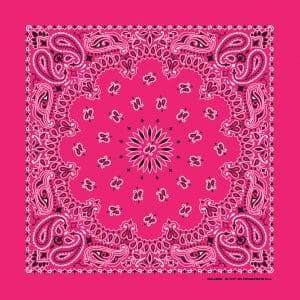 B22PAI-000039-Hot Pink Paisley bandanna