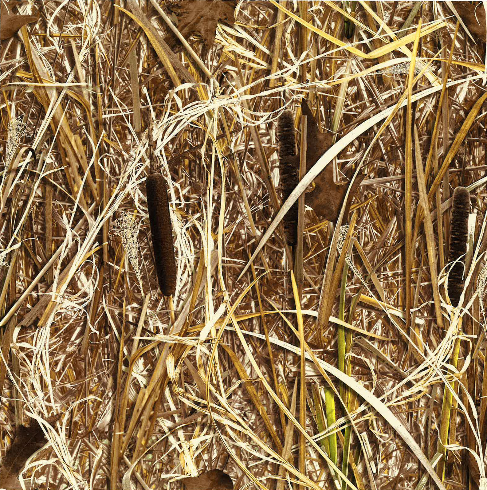 Blind Site Camouflage